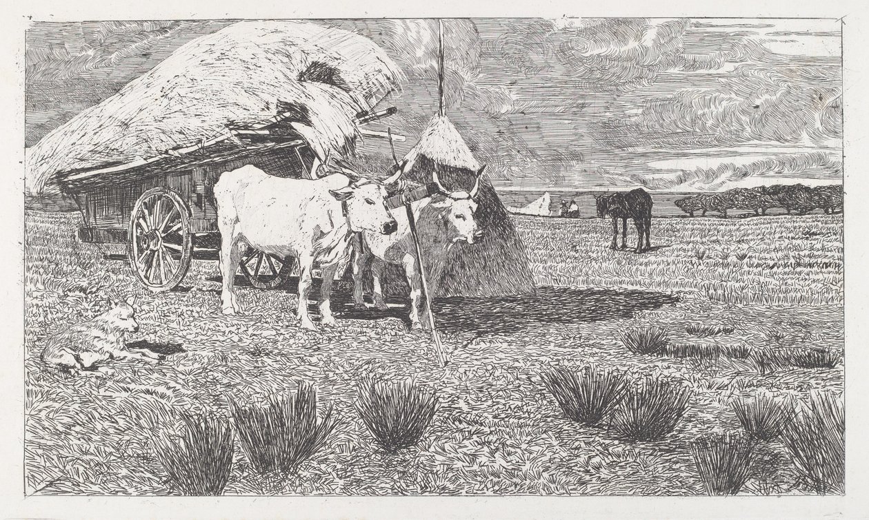 Ökrök a szekérre (Maremma) [Bovi al carro (Maremma)] alkotó: Giovanni Fattori