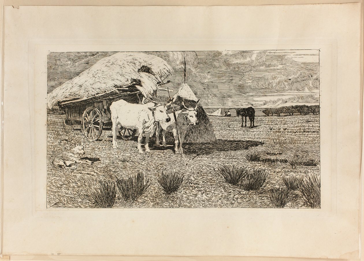 Ökör és kocsi (Maremma) alkotó: Giovanni Fattori