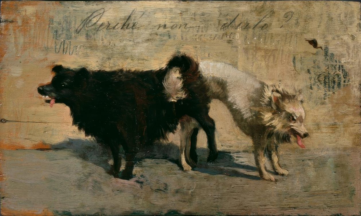Miért nem mondja ki? alkotó: Giovanni Fattori