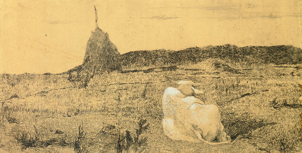 Pio Bove (Jámbor vagy békés ökör), Giovanni Fattori (1825-1908), rézkarc alkotó: Giovanni Fattori