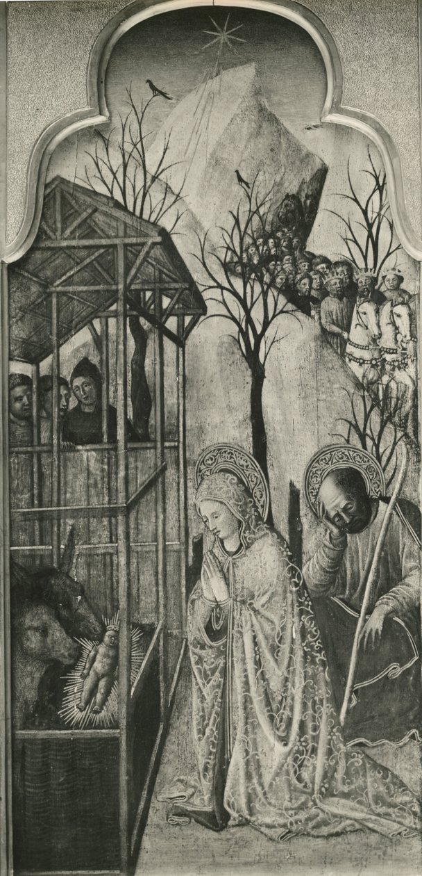 A Szűz életének ciklusa, Születés, 1445 körül (olaj nyárfa panelen) alkotó: Giovanni Francesco da Rimini