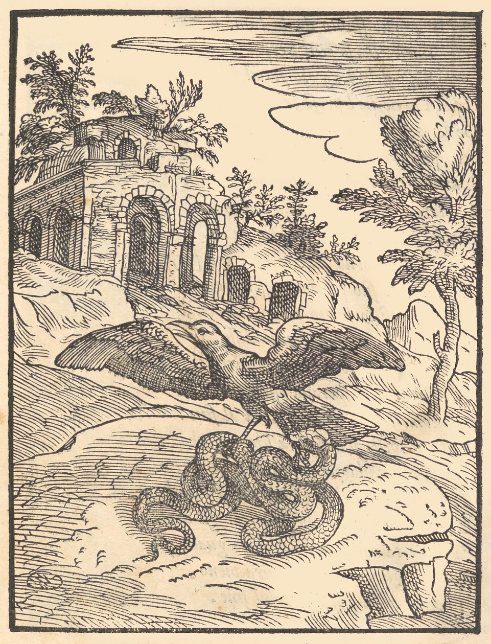 Madár és kígyó, 1570. alkotó: Giovanni Maria Verdizotti