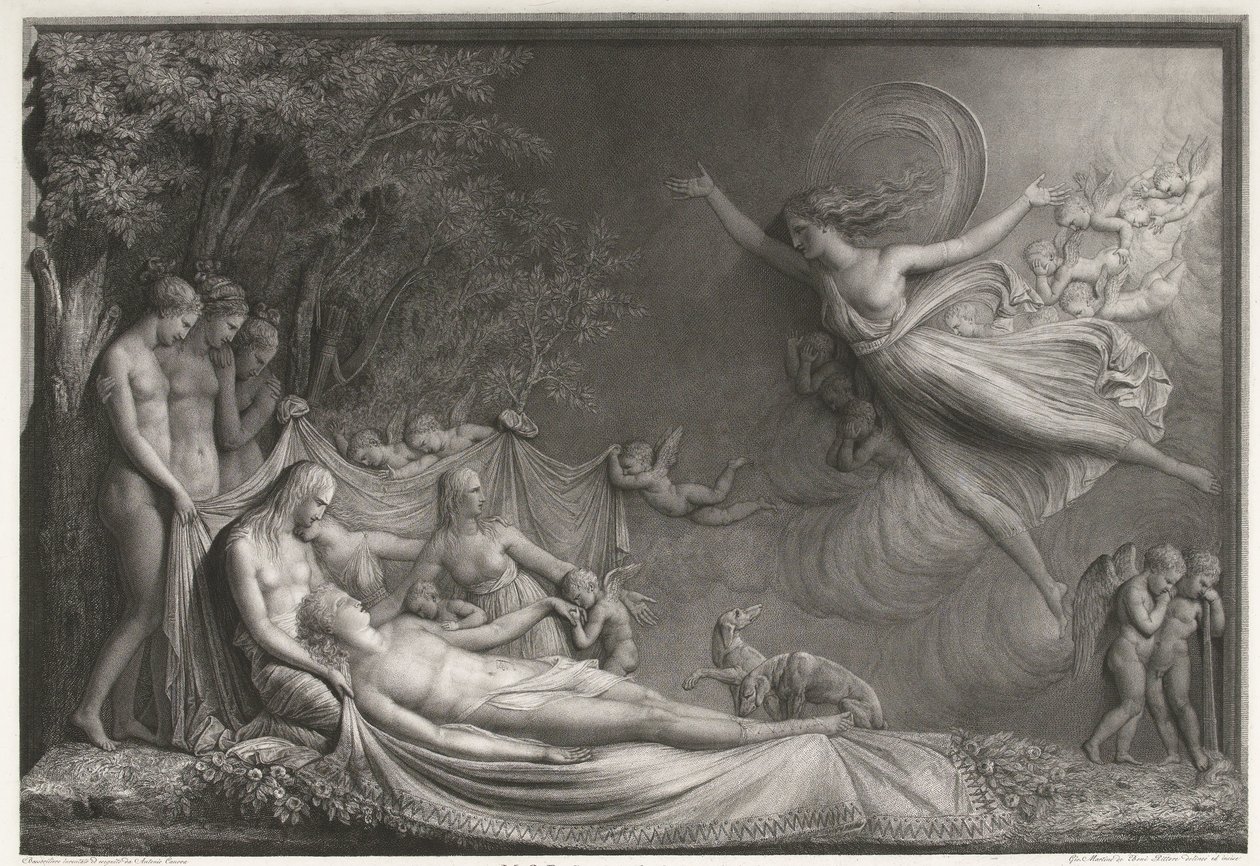 Adonis halála alkotó: Giovanni Martino dei Boni