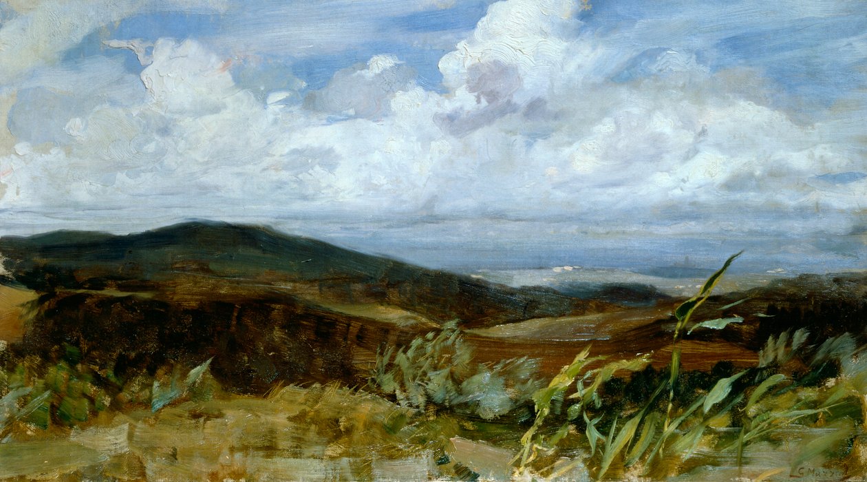 Giovanni Muzzioli (1854-1894) tájkép, olaj, vászon, 39x68 cm alkotó: Giovanni Muzzioli