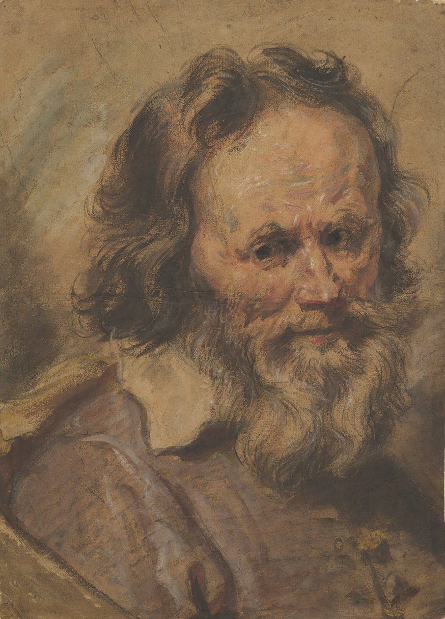 Szakállas ember feje, 1600-1630. alkotó: Giovanni Serodine