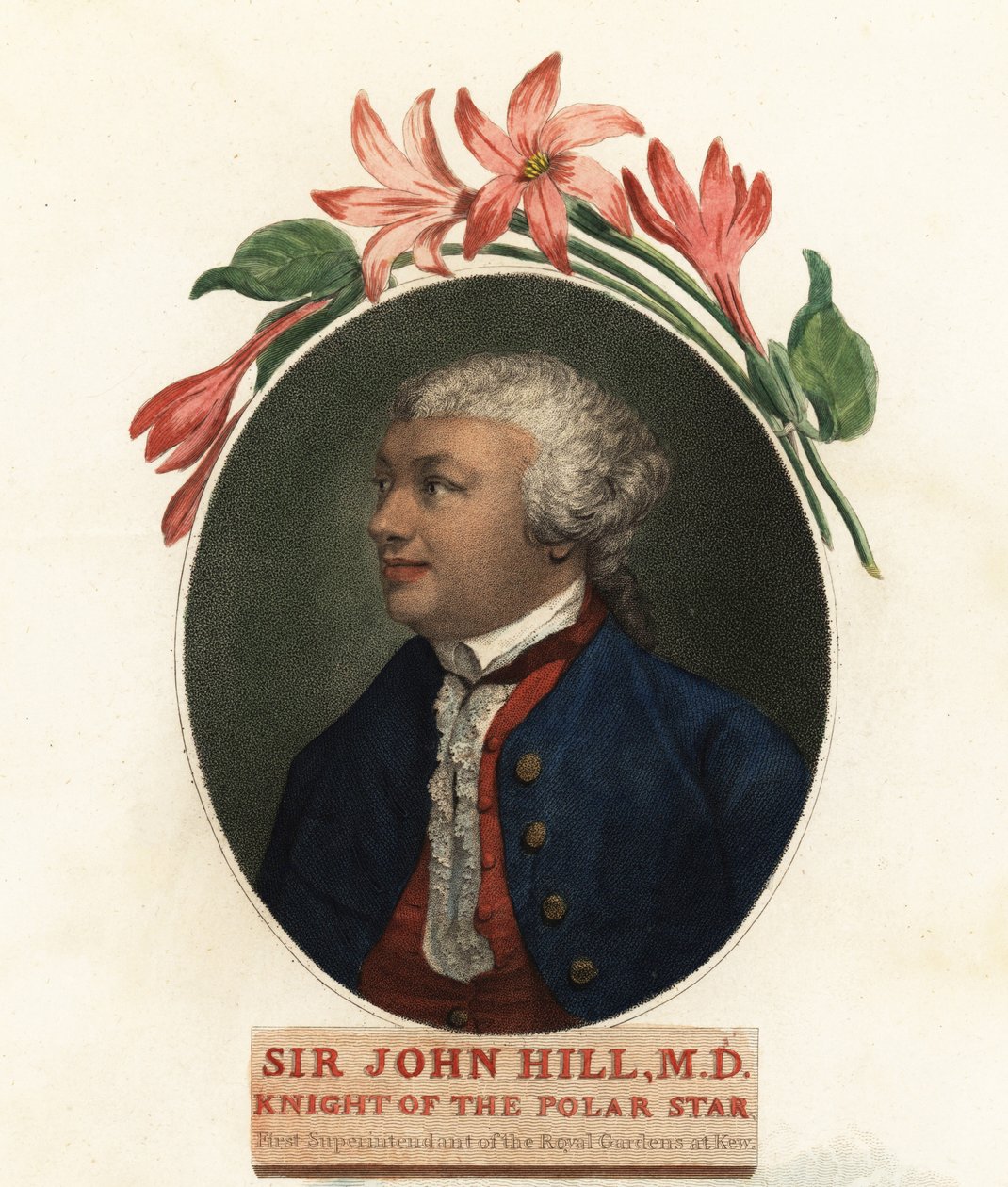 Sir John Hill természettudós és botanikus portréja. 1800 (metszet) alkotó: Giovanni Vendramini