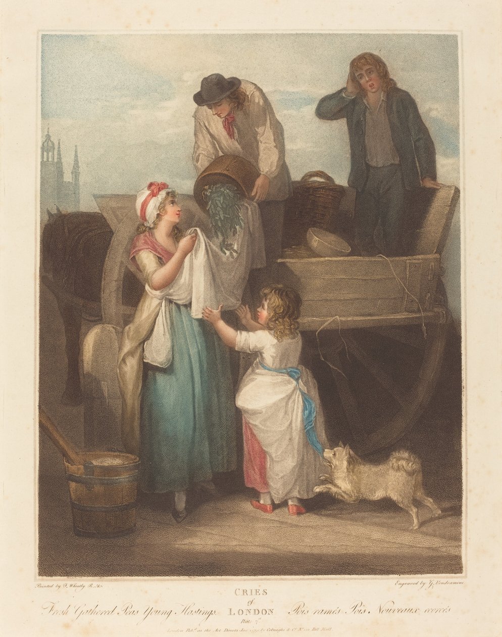 Frissen gyűjtött borsó, fiatal Hastings alkotó: Giovanni Vendramini after Francis Wheatley