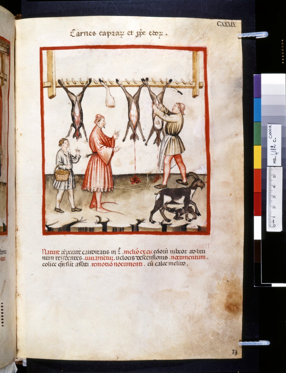 Ububchasym de Baldach Theatrum sanitatis: "Carnes Caprarum et Pulpe Edorum", a 14. század első évtizede (miniatűr) alkotó: Giovannino de