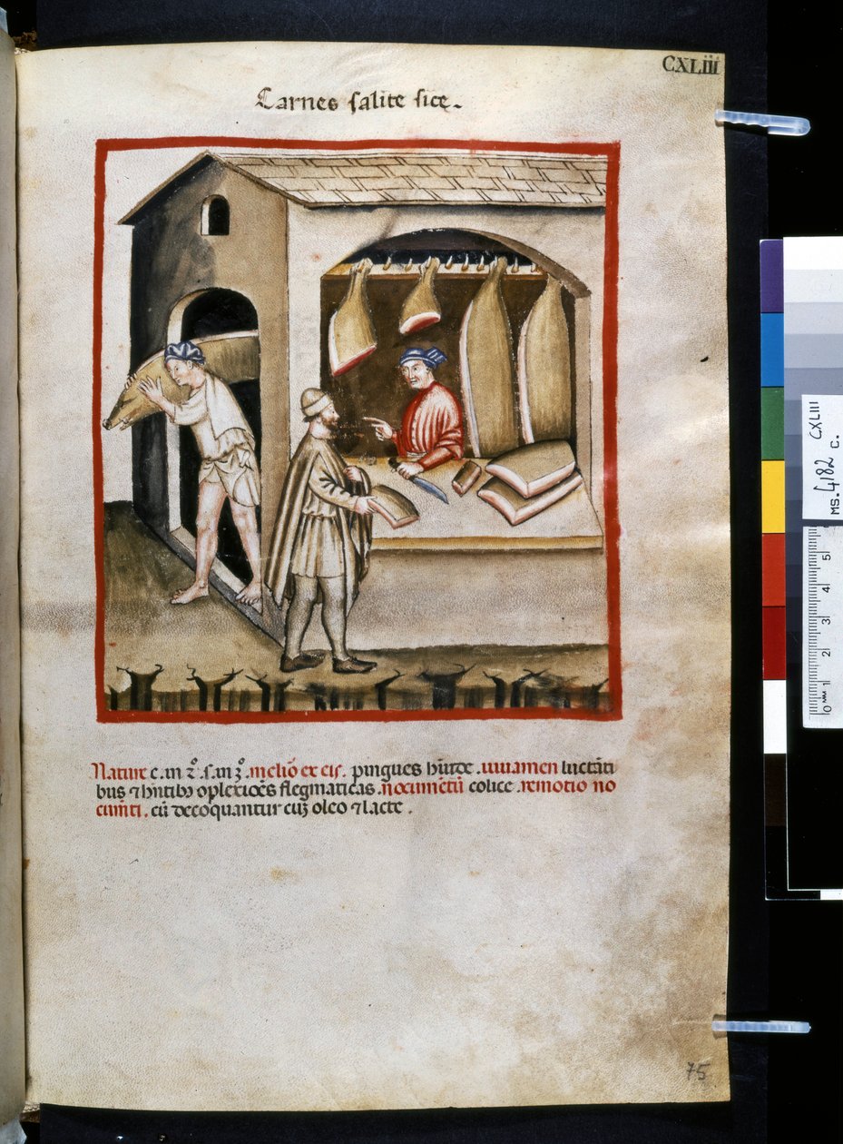 Ububchasym de Baldach Theatrum sanitatis: "Carnes Salite Si ce", a 14. század első évtizede (miniatúra) alkotó: Giovannino de