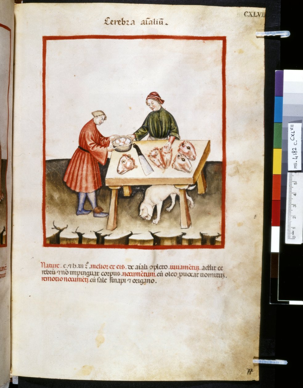 Ububchasym de Baldach Theatrum sanitatis című műve: Cerebra Animalium", a 14. század első évtizede (miniatűr) alkotó: Giovannino de