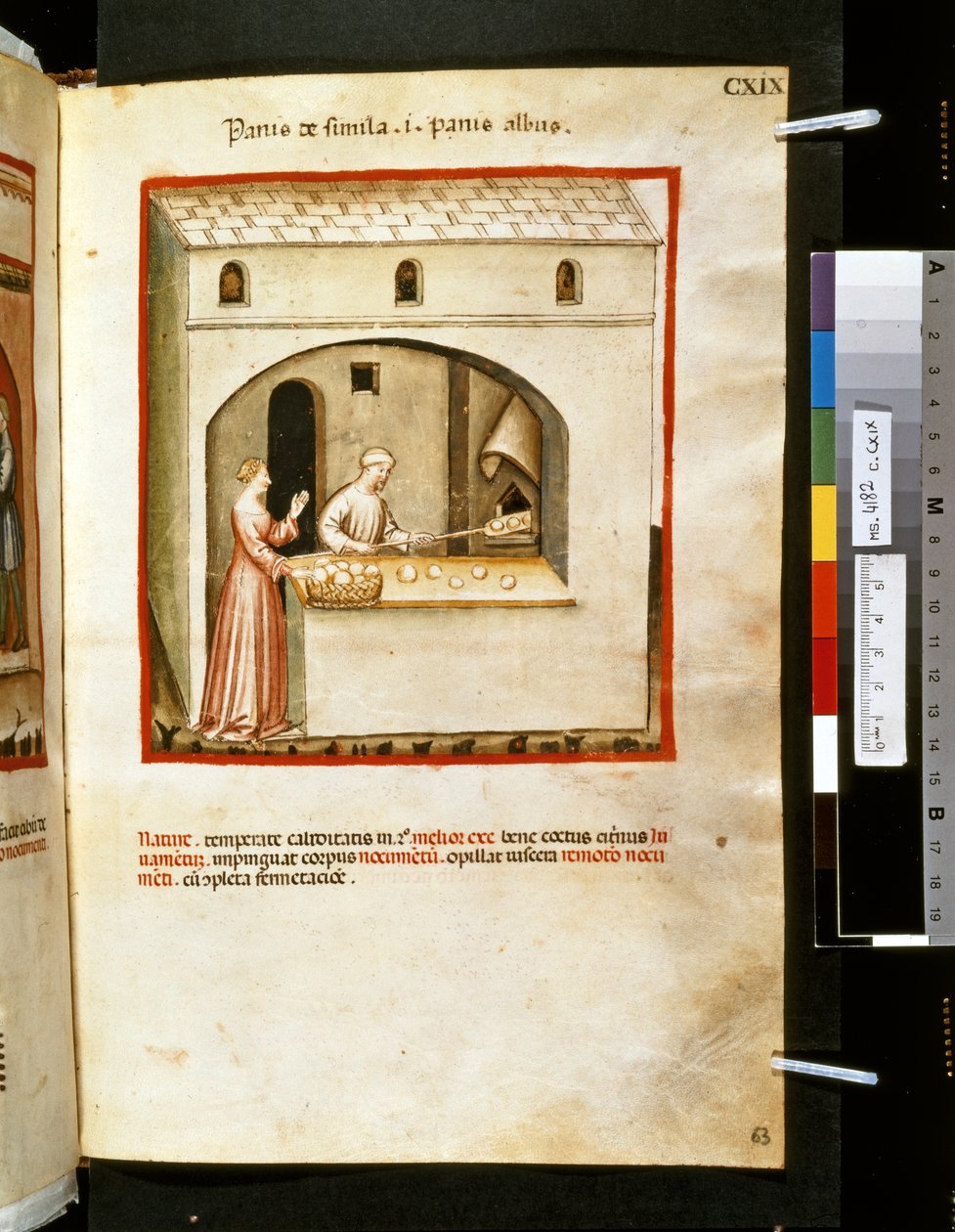 Ububchasym de Baldach Theatrum sanitatis: "Panis de Simila ", a 14. század első évtizede (miniatúra) alkotó: Giovannino de