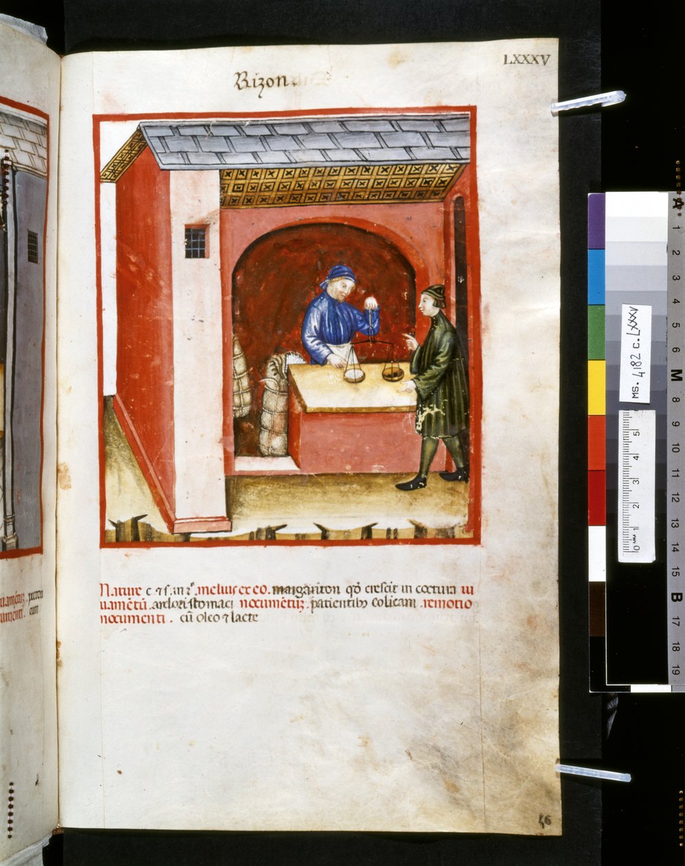 Ububchasym de Baldach Theatrum sanitatis: "Rizon", a 14. század első évtizede (miniatűr) alkotó: Giovannino de