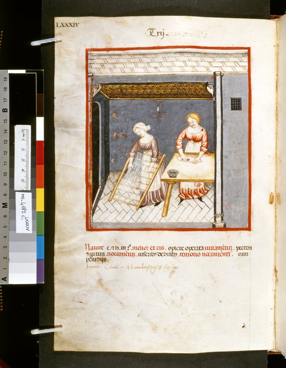 Ububchasym de Baldach Theatrum sanitatis: "Trij", a 14. század első évtizede (miniatűr) alkotó: Giovannino de