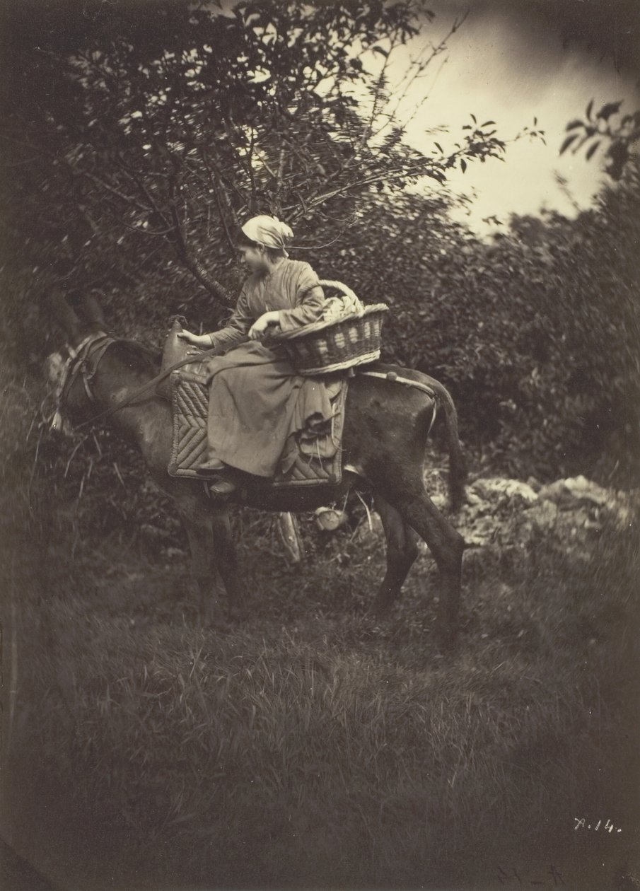 Női parasztszamár, 1870. alkotó: Giraudon