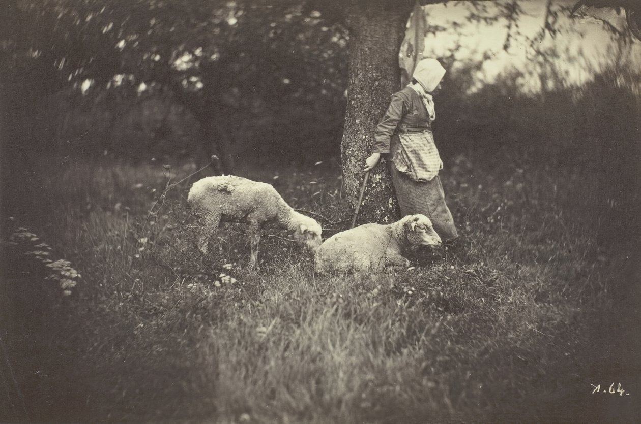 Pásztorlány egy fának támaszkodva, két báránnyal, 1870. alkotó: Giraudon