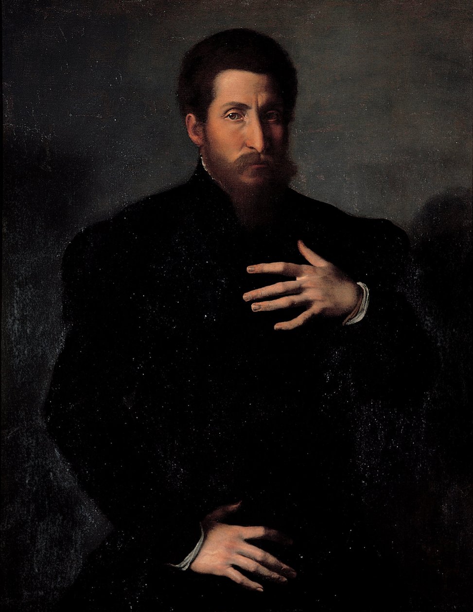 Egy férfias férfi portréja alkotó: Girolamo da Carpi