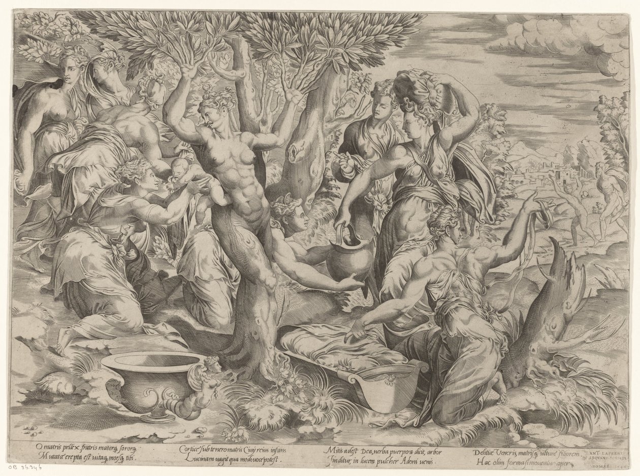 Adonis születése alkotó: Girolamo Fagiuoli (attributed to)