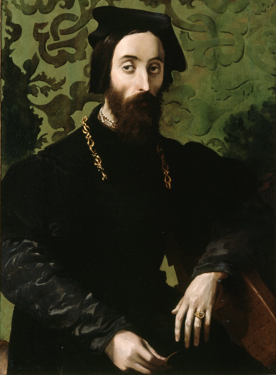 Zenész portréja, 1540 körül (olaj, tábla) alkotó: Girolamo Mazzola (attr.) Bedoli