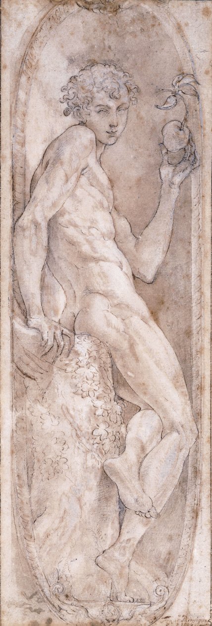 Ádám kezében egy almával, ülve, egy medálban, 1547-1553 körül alkotó: Girolamo Mazzola Bedoli