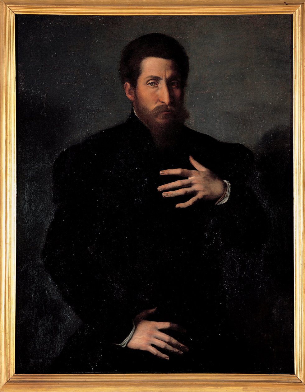 Egy férfias férfi portréja alkotó: Girolamo da Carpi