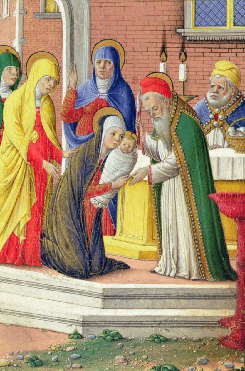 Bemutató a templomban, 1465 körül alkotó: Girolamo da Cremona