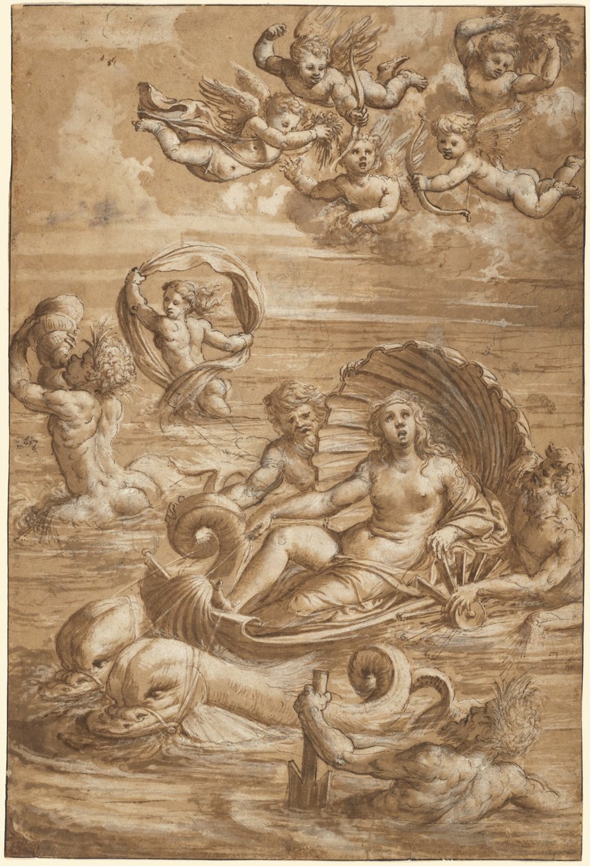 Galatea diadala alkotó: Girolamo da Treviso II