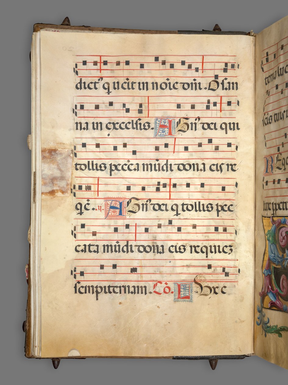 Fokozatos alkotó: Girolamo dai Libri