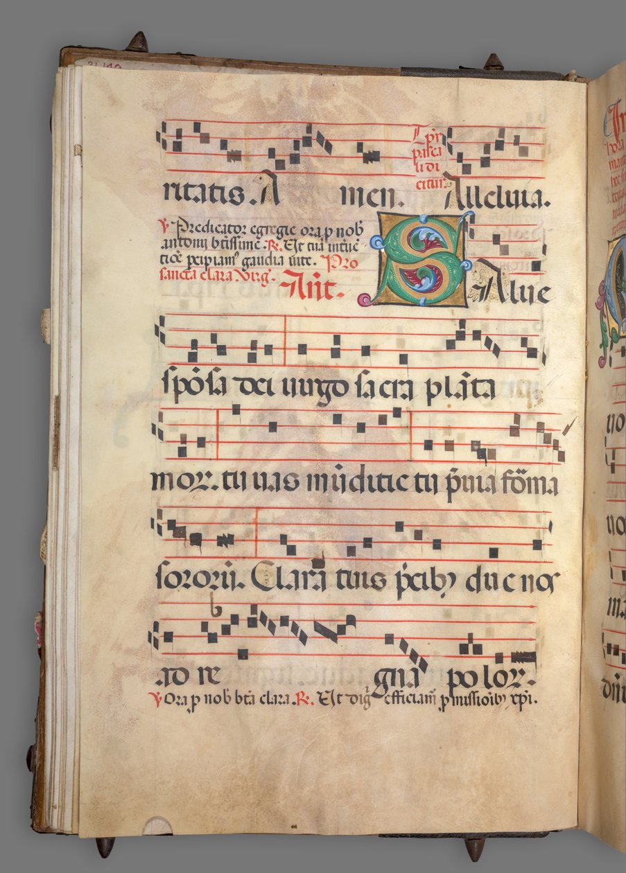 Fokozatos alkotó: Girolamo dai Libri
