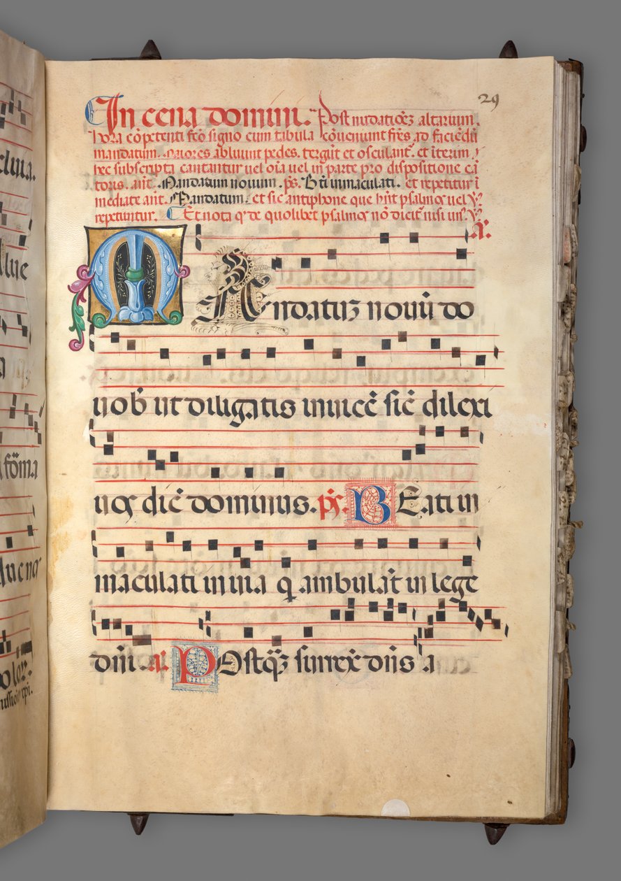 Fokozatos, c. 1520. alkotó: Girolamo dai Libri