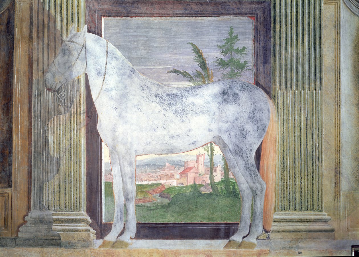 Sala dei Cavalli, részlet egy szürke ló portréjával a mantovai Ludovico Gonzaga III. istállójából, 1528 alkotó: Giulio Romano