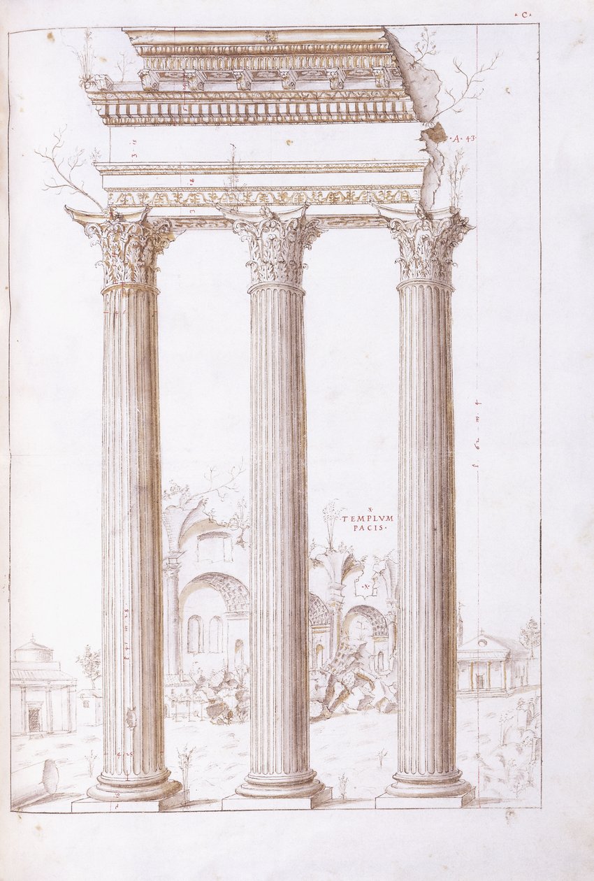Castor és Pollux templomának oszlopai, háttérben a Béke templomával, 1550 körül (eredeti rajz fekete krétával, tollal és barna tintával) alkotó: Giulio (circle of) Romano