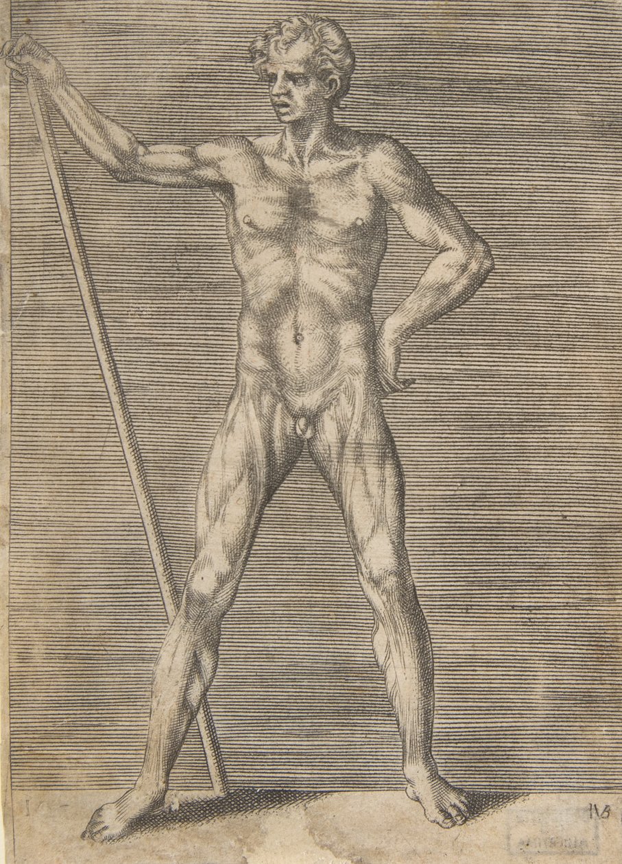 Elölről lenyúzott férfi, kezében egy bottal, kb. 1531-76. alkotó: Giulio Bonasone