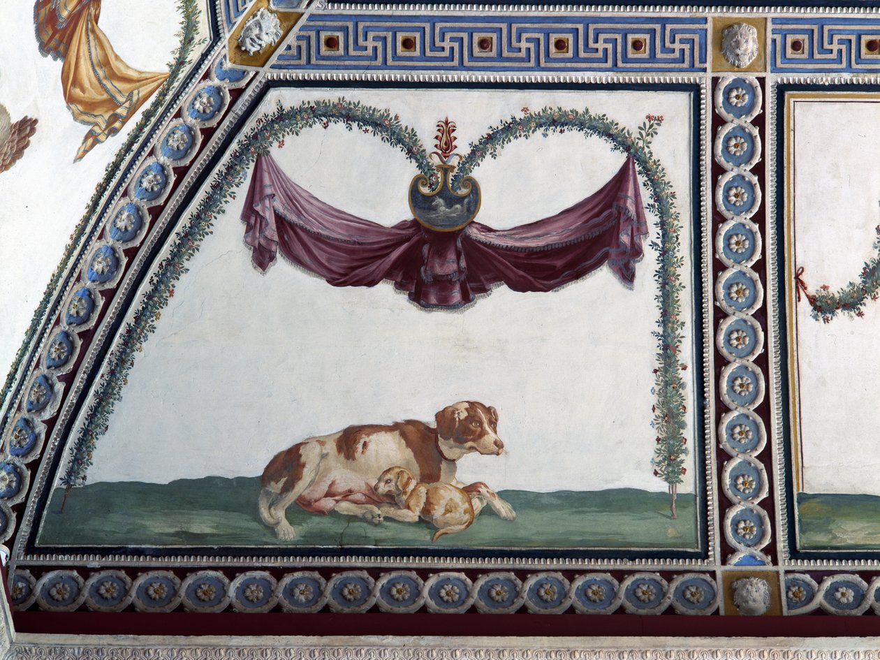 A Camera con Fregio di Amorini Ámor fríz kamrája egy kutya és egy kiskutya részlete, 1520-as évek freskója alkotó: Giulio Romano