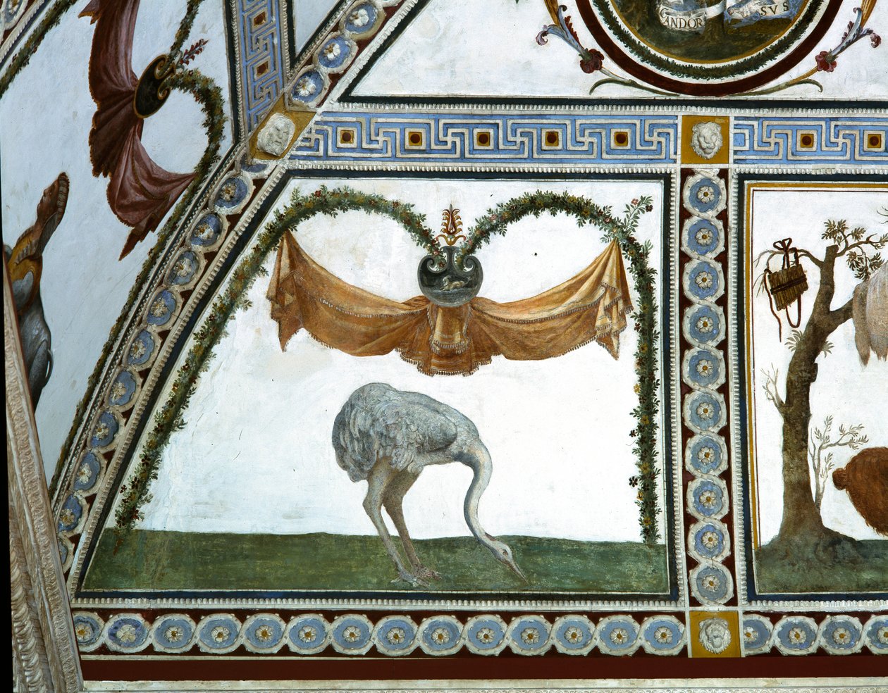 A Camera con Fregio di Amorini Ámor fríz kamrája egy strucc részlete, 1520-as évek freskója alkotó: Giulio Romano