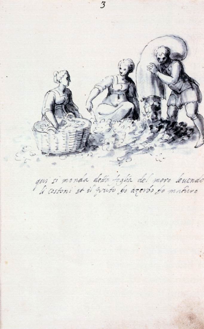 Értekezés a selyemkultúráról és a gyártásról alkotó: Giuseppe Arcimboldo