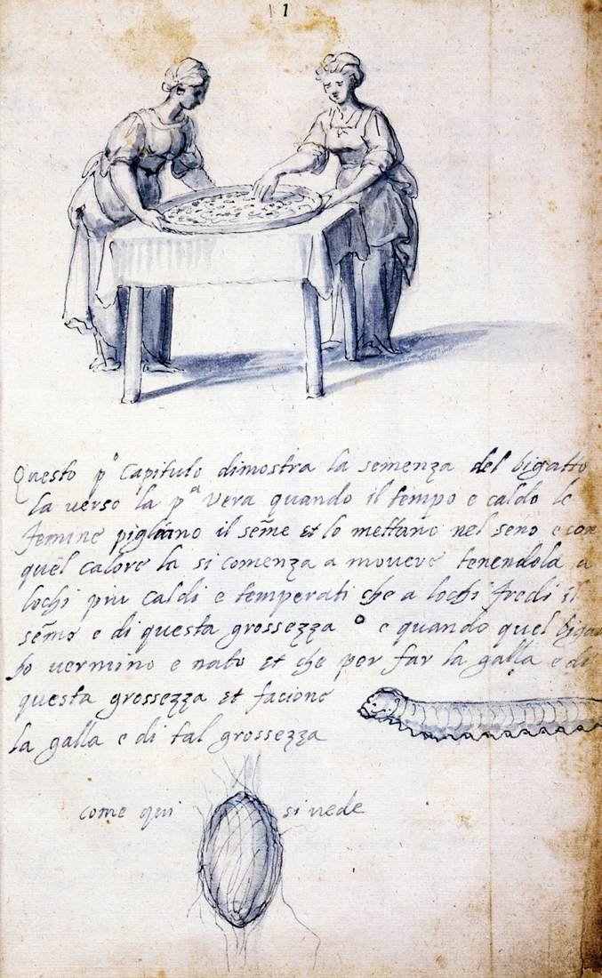 Értekezés a selyemkultúráról és a gyártásról (Tizenhárom rajz sorozat, 1. sz.) alkotó: Giuseppe Arcimboldo