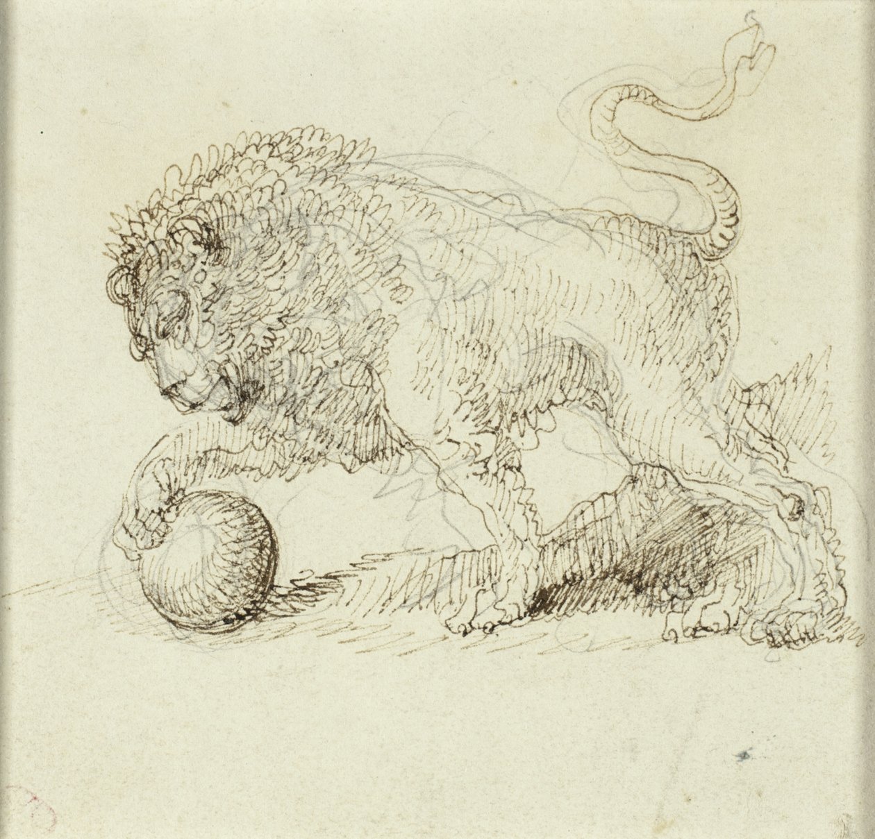 Oroszlán labdával alkotó: Giuseppe Bernardino Bison