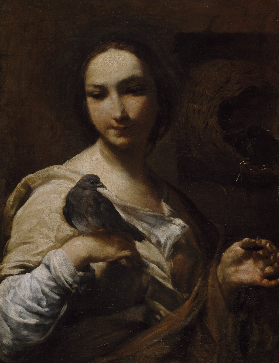 Galambot tartó lány, 1721-27 alkotó: Giuseppe Maria Crespi
