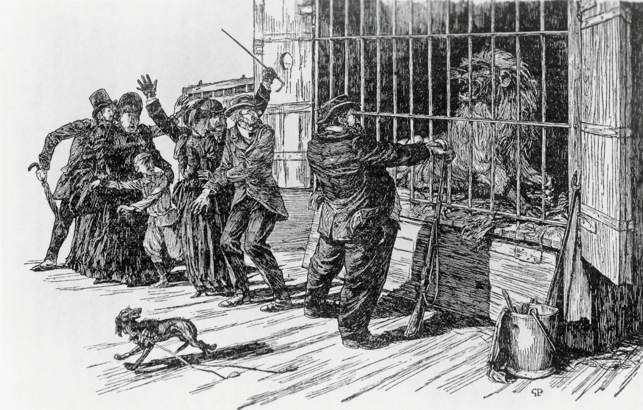 Tatarin és az oroszlánketrec, illusztráció a Tartarin az Alpokban című könyvéhez, Alphonse Daudet Milan alkotó: Giuseppe Porcheddu