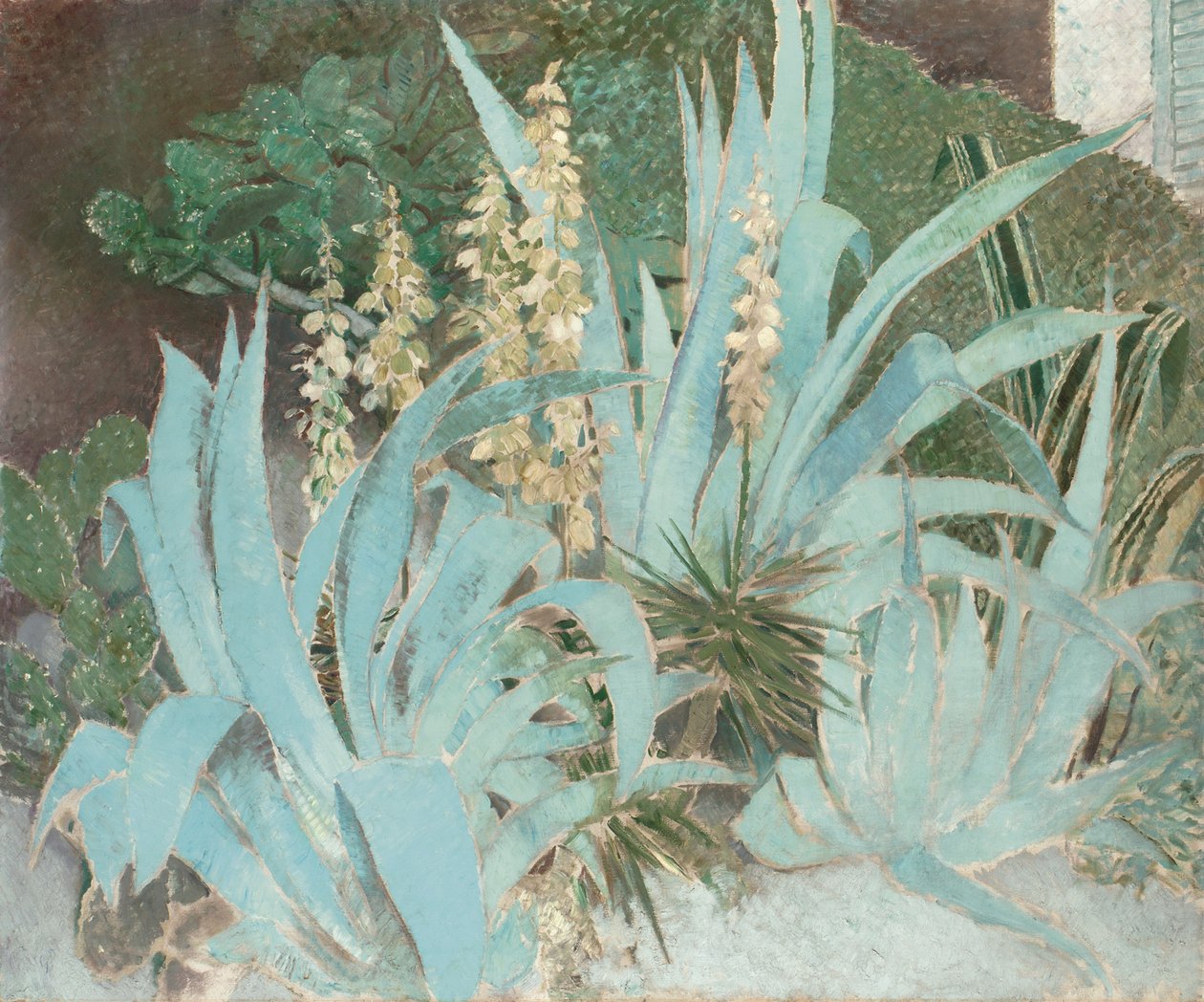 Kaktusz (olaj, vászon) alkotó: Glyn Warren Philpot