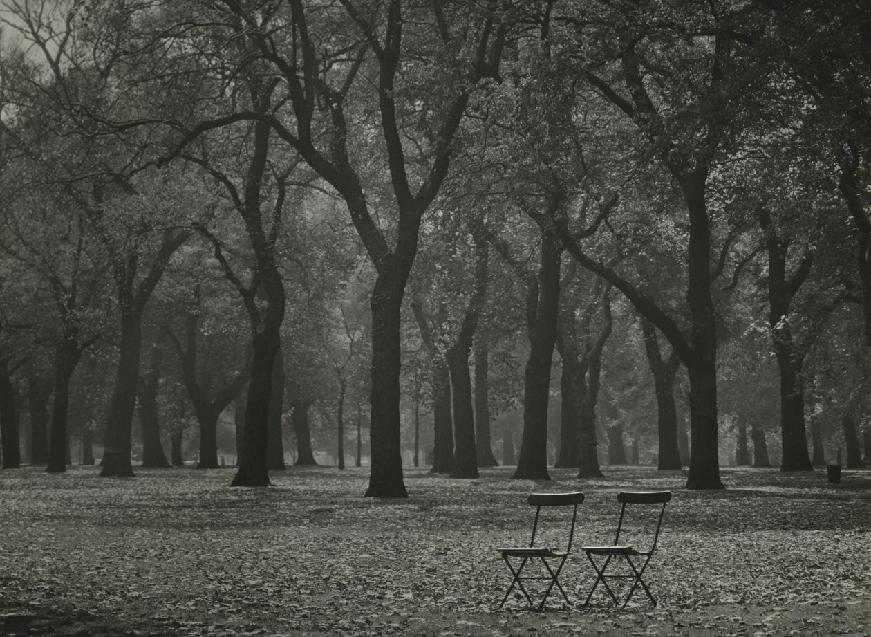 Őszi fák a Hyde Parkban, London alkotó: Godfrey Macdominic