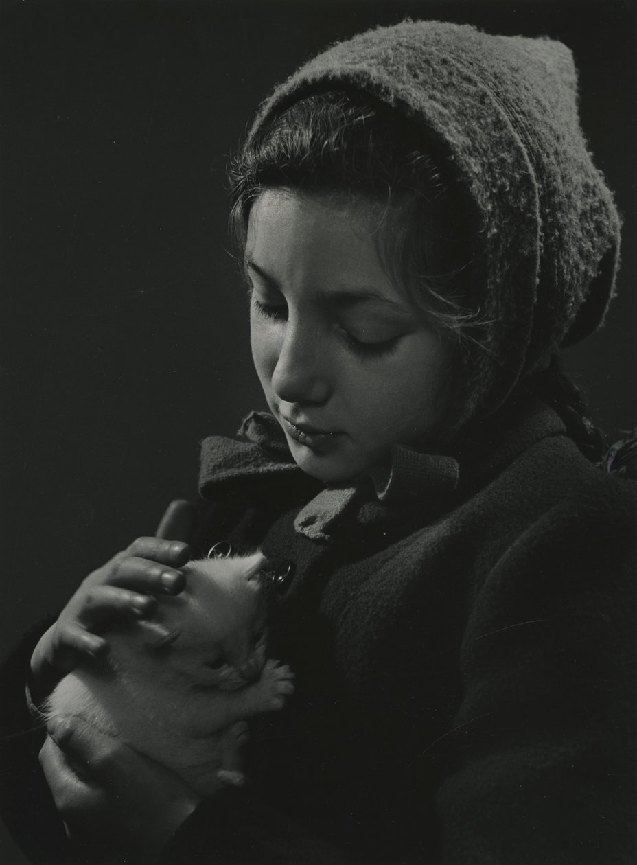 Kislány egy fehér cicát tart a karjában. 1950-es évek eleje alkotó: Godfrey Macdominic