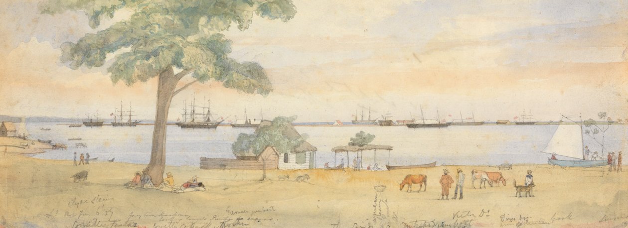 Greytown alkotó: Godfrey Thomas Vigne