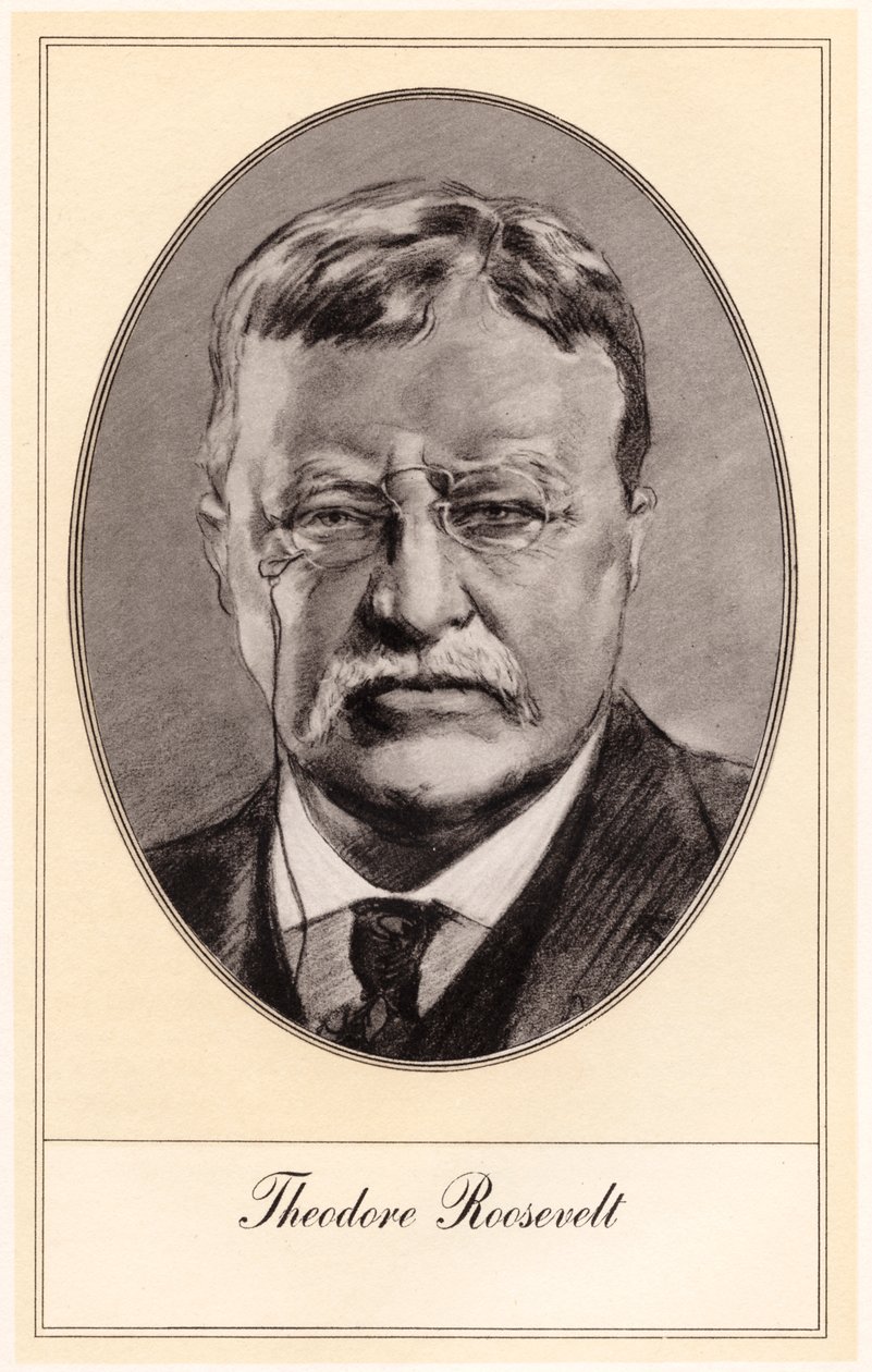 Theodore Roosevelt, az Egyesült Államok 26. elnöke, a XX. század eleje. alkotó: Gordon Ross