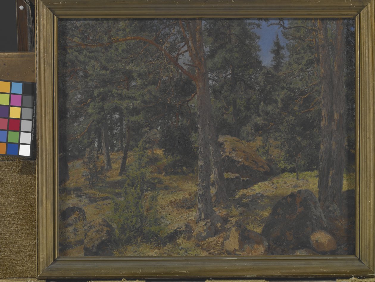 A Fir Bank (olaj, vászon) alkotó: Gottfried Kallstenius