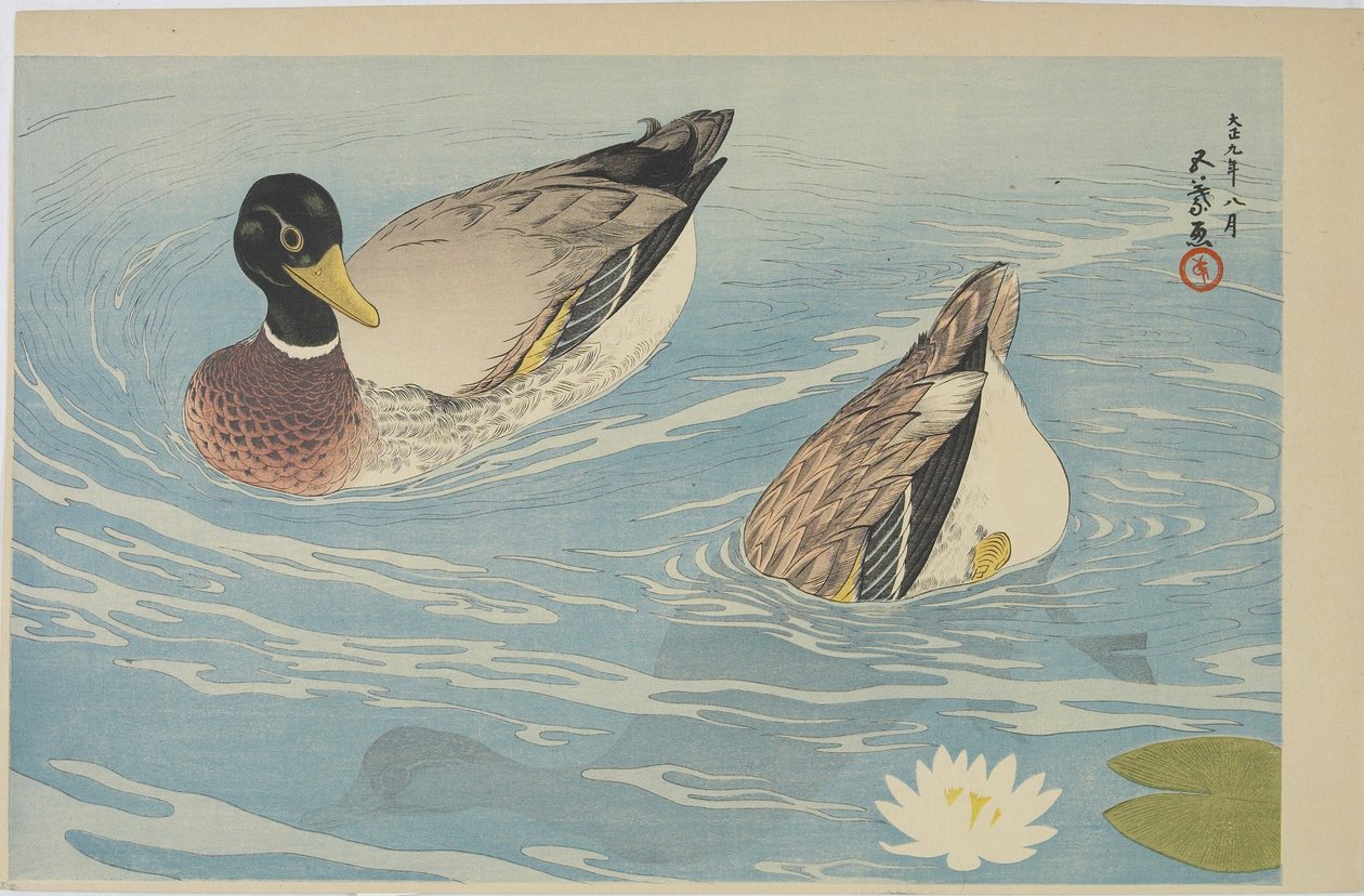 Ducks, 1920. augusztus alkotó: Goyo Hashiguchi