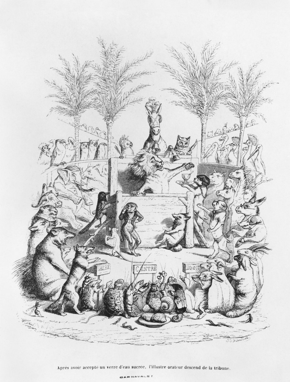 „Egy pohár cukros víz elfogyasztása után a híres szónok lejön az emelvényről”, illusztráció a „Scenes de la Vie Privee et Publique des Animaux” című könyvből. alkotó: Grandville