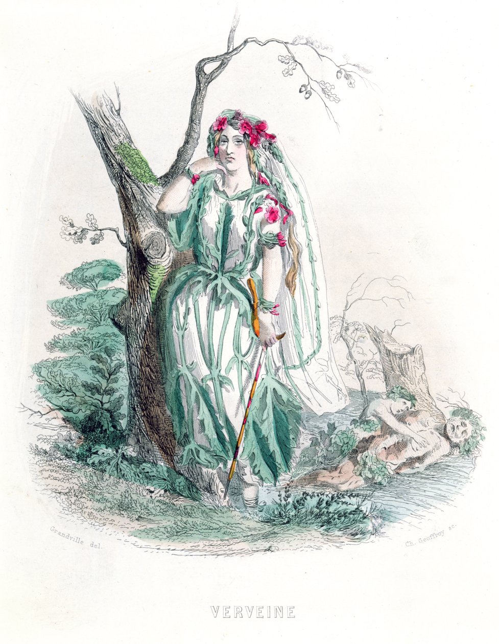 A Vervain a „Les Fleurs Animees”-ből, Charles Geoffroy (1819-82) metszete, 1847 (színes metszet) alkotó: Grandville