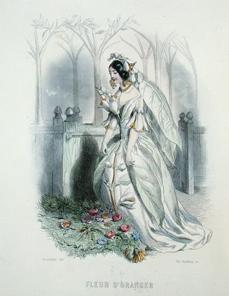 A narancsvirág, a „Les Fleurs Animees”-ből, Charles Geoffroy (1819-82) metszetében alkotó: Grandville