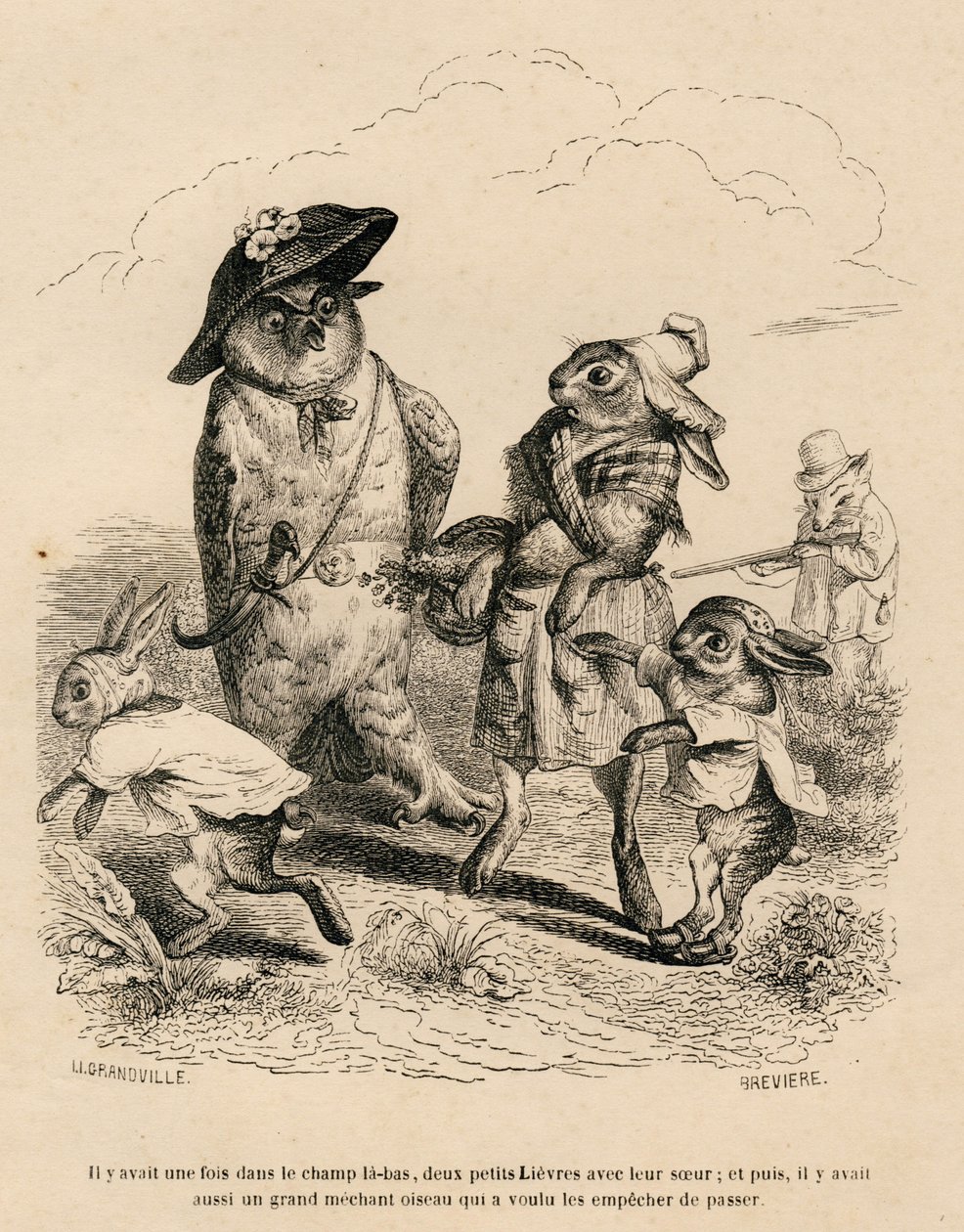 Két kis nyúl a nagy nővérükkel megállított egy bagoly a mezőn. Egy vadászróka áll mögöttük. A miniatűröket JJ Granville illusztrálta. Breviere-vel írt metszet a PJ Stahl által írt "Egy nyúl története" részben alkotó: Grandville
